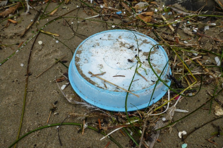A blue plastic bowl or dish rests on the sand among drifted debris.