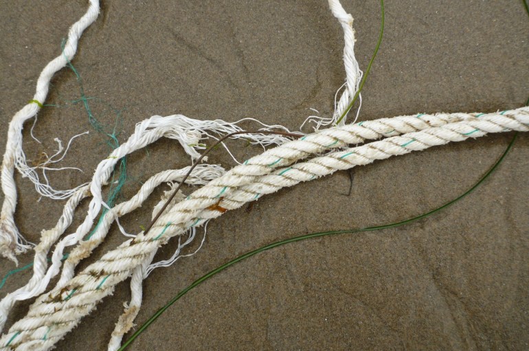 Lost and drifted line rests on the sand.