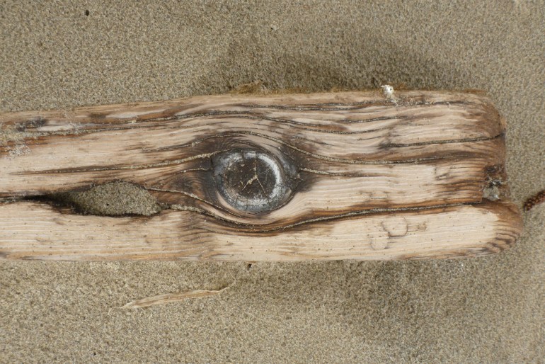 A drifted timber resembling a sperm whale head rests on the sand.