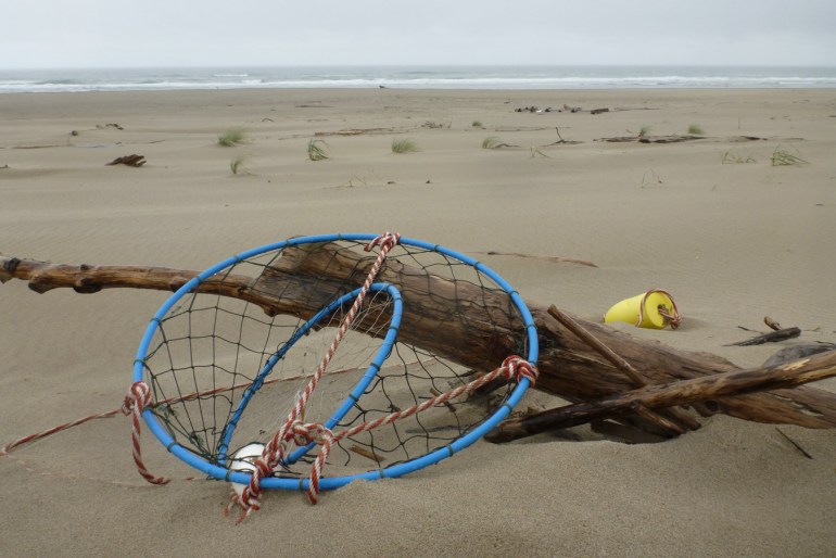 Lost recreational crab gear way up on some backshore driftwood. Beach and surf zone in the background. Hazy sky.