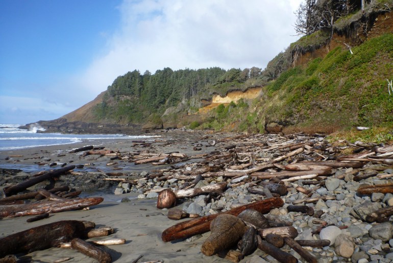Lots of driftwood strewn about the beach and up into the cobbles. Surf zone and a headland in the distance. The sky is partly cloudy.