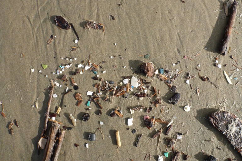 A drifted accumulation of plastic fragments and nurdles, terrestrial plant material, and cellophane tube worm casings (probably Spiochaetopterus costarum) rests on the sand.