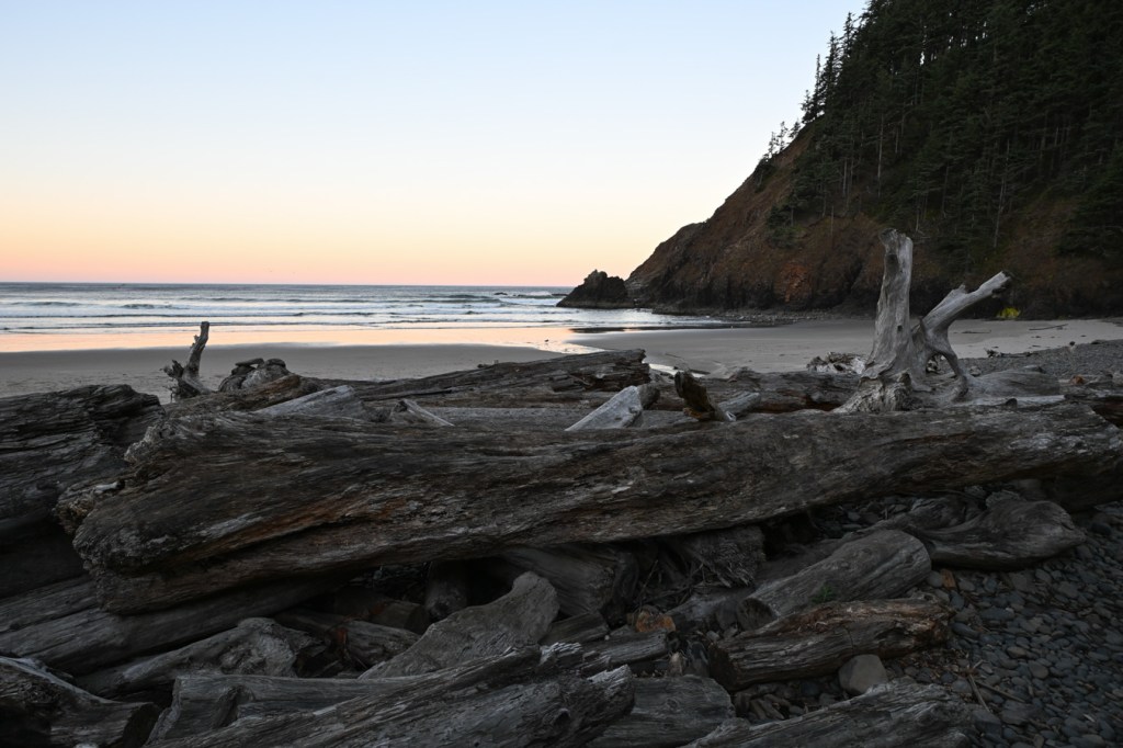 Seascape with big driftwood on the foreground, followed by beach and a headland, the surf one, and the sea beyond. A bit of color on the early morning horizon. Cloudless sky.