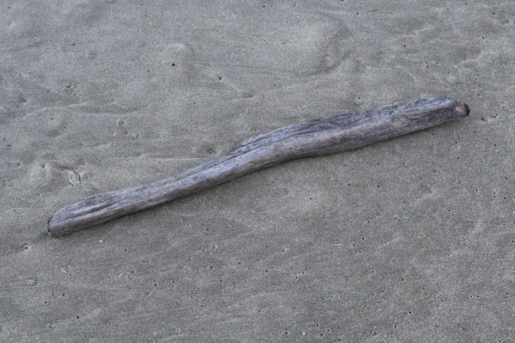 A small drifted branch, the kind beavers like to make their dams out of, now smoothed by erosion.