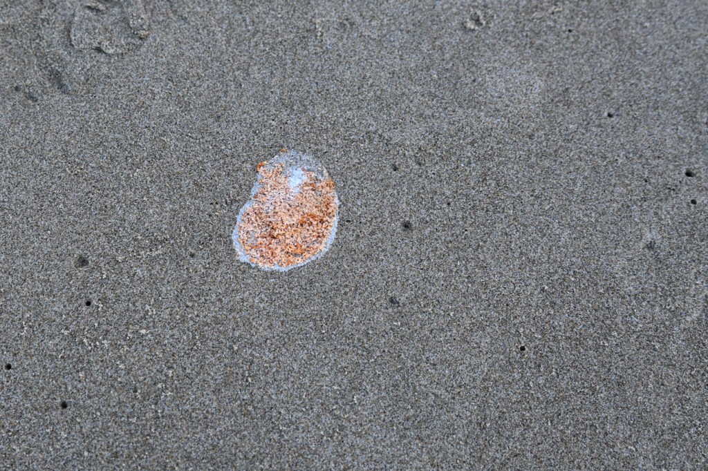 The bird poop is orange from a diet of crustacean eggs.