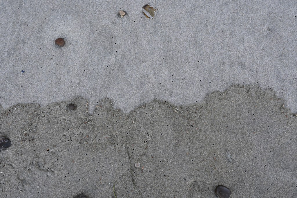 The undulating line between wet and dry sand at the tip top of the tide.