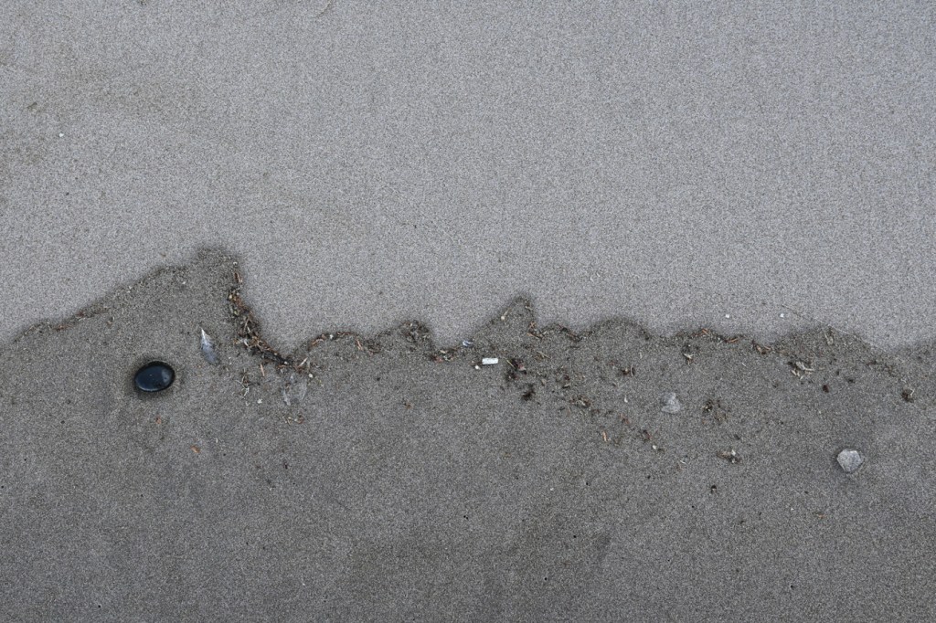 The undulating line between wet and dry sand at the tip top of the tide.