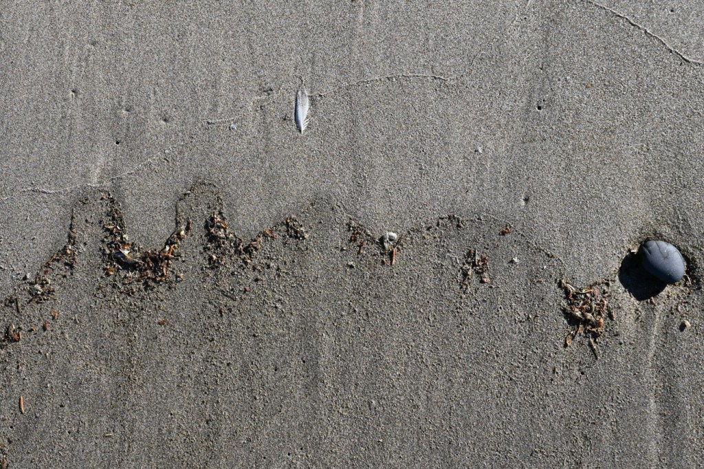 The undulating line between wet and dry sand at the tip top of the tide.