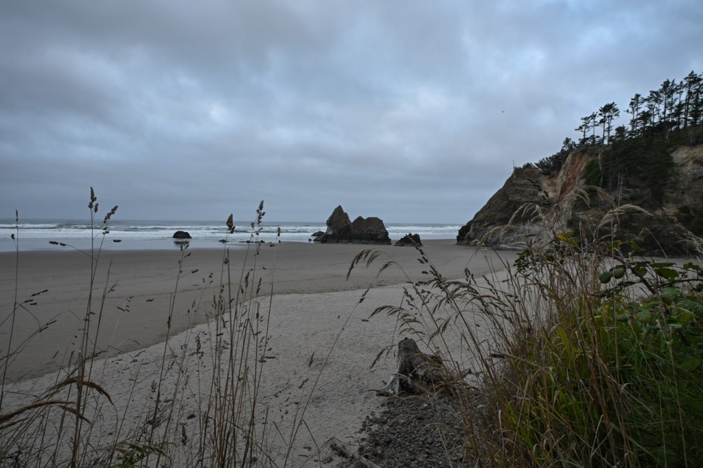 Seascape showing the Lion, an iconic rock generally perched in the surf, swash, or sometimes wet sand. Beach and wrack line in the foreground; surf zone and beyond In the distance. Cloudy sky.