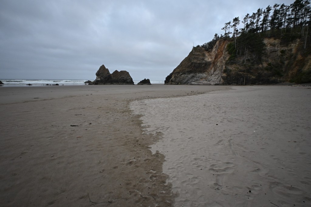 The sinuous boundary between dry and wet sand stretches off to the north. Surf zone, a headland, and the iconic Lion in the distance. Cloudy sky.