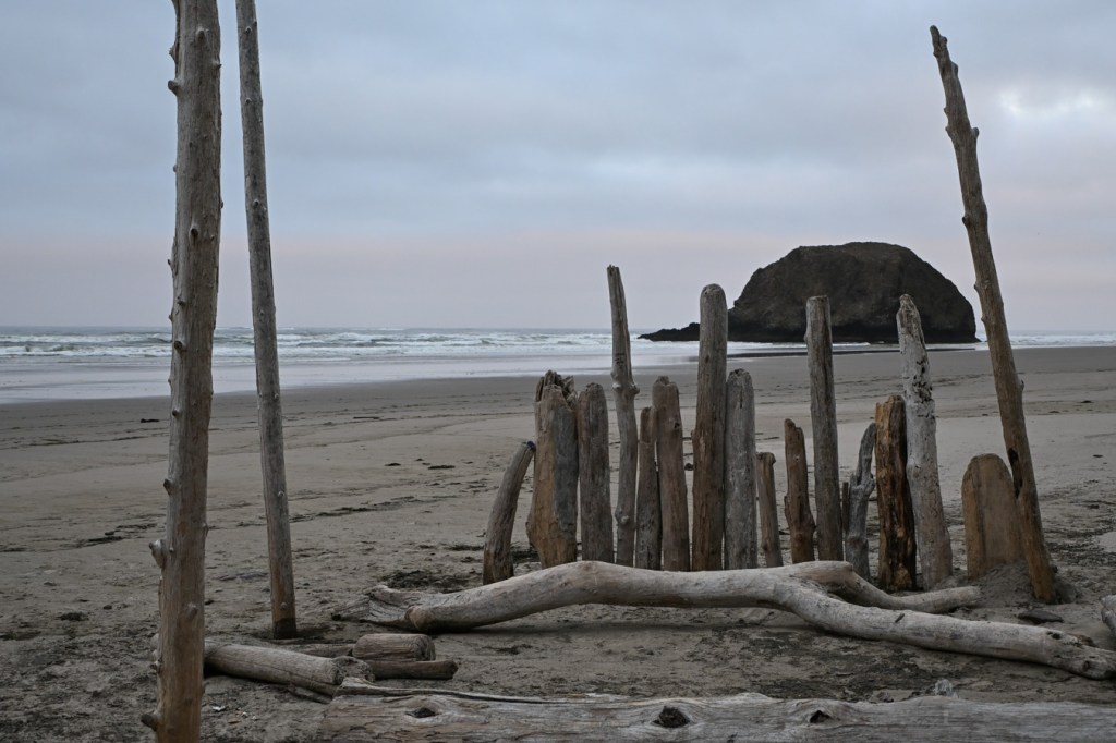 A driftwood fort taking shape. Surf zone and an iconic sea stack in the background.