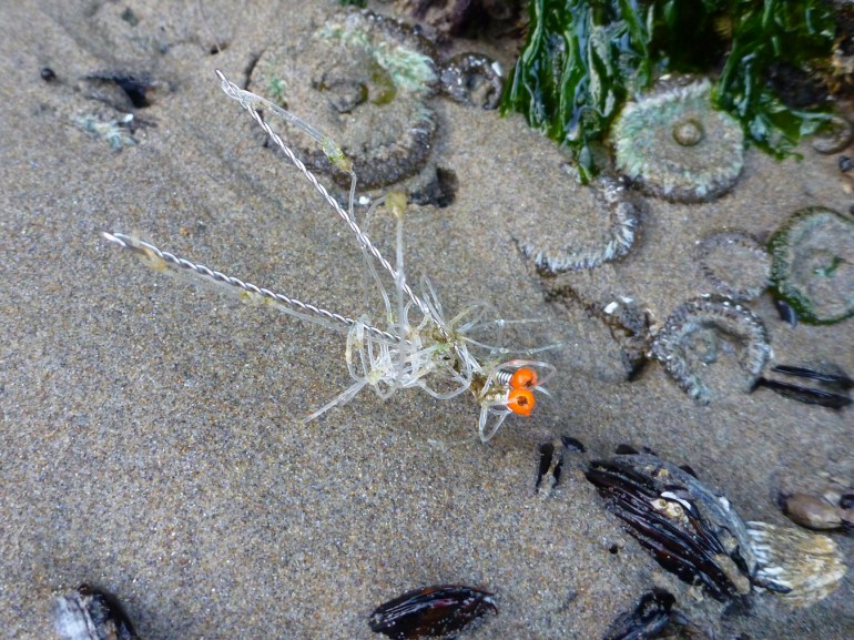 Lost and tangled sport surfperch gear rests on the sand.