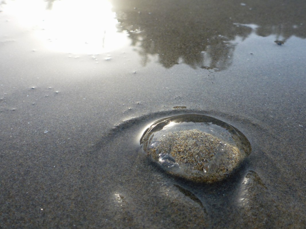 Sand grains magnified in the morning sun under a jelly blob.