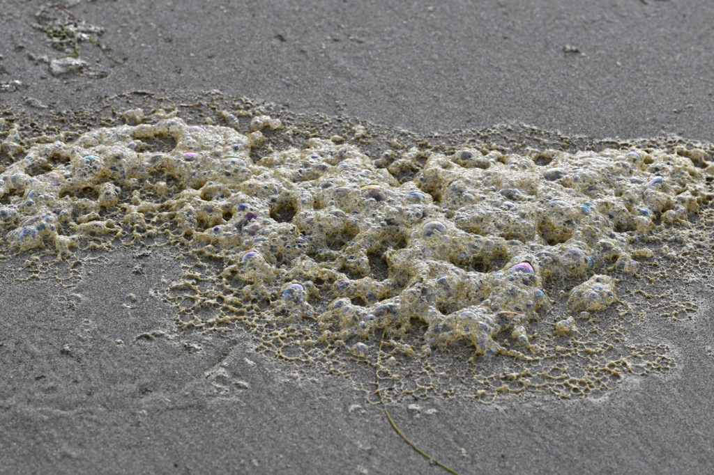 Sea foam resting on the sand.