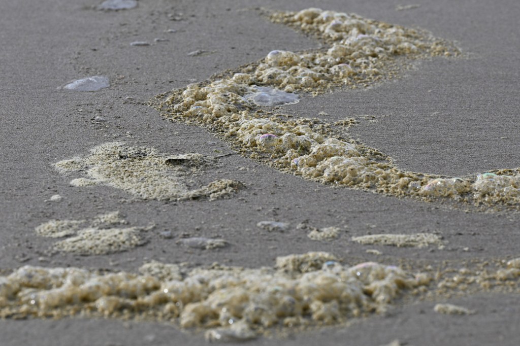 Sea foam on wet sand.