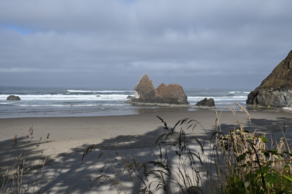 A seascape featuring the Lion, an iconic rock, generally perched in the surf, swash or sometimes wet sand. Beach with shadows from the forest above in the foreground; in the distance, the surf zone and beyond. Cloudy sky.