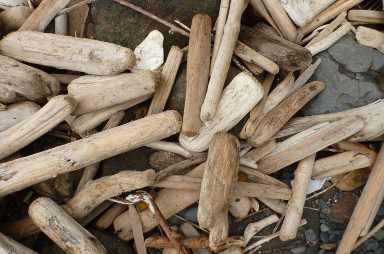 Small pieces of sand-scoured driftwood.