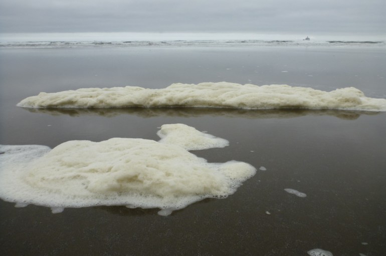 Rafts of sea foam rest on a sheen of water in the swash zone. Surf in the distance. Cloudy sky.