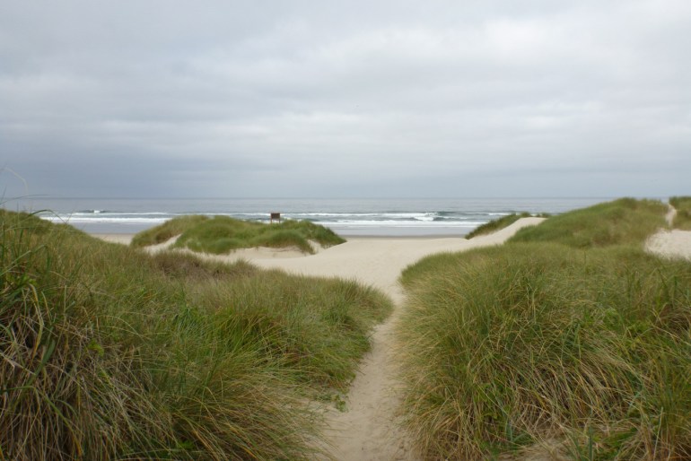 The trail over the foredune to the beach cuts through an Ammophila monoculture. In the distance, surf zone and the sea beyond. Cloudy sky.