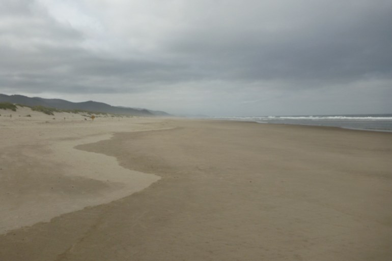 Peering down the beach, southbound, as the boundary between wet and dry sand stretches off into the distance. No obvious material and the wrack line.
