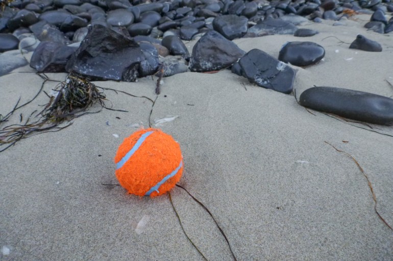 A lost or discarded tennis ball rests on the sand.