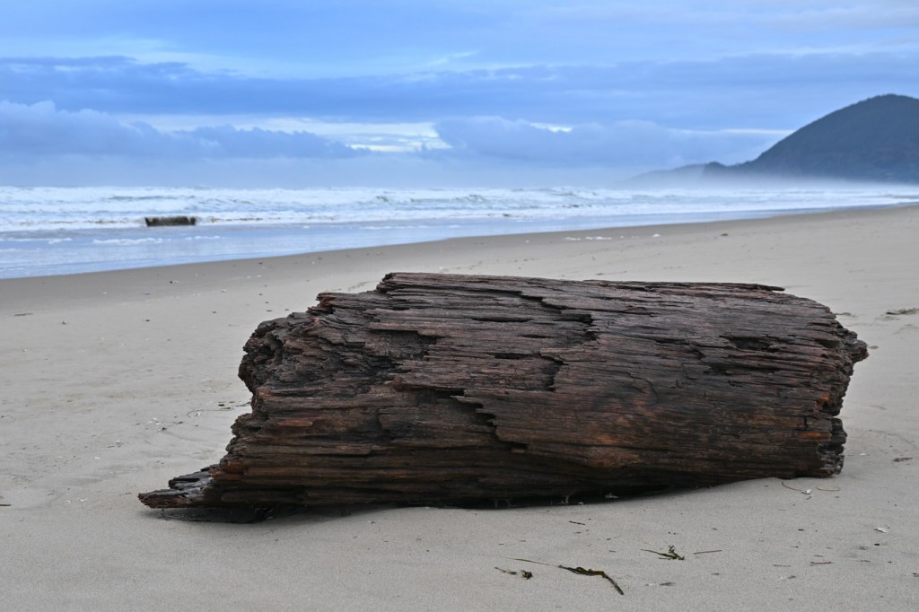 A seascape featuring a weathered drifted log (a piece of one, anyhow) in the foreground, the beach and the surf zone in the midground. In the background, a distant headland. Cloudy sky.