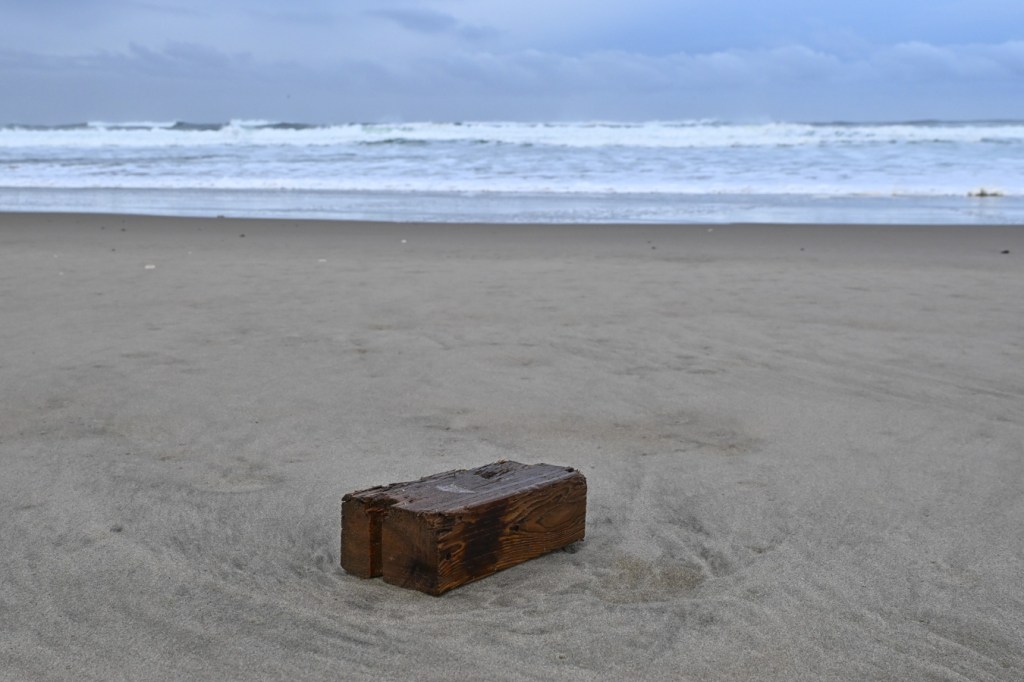 A seascape featuring a piece of milled timber rests on the sand. Behind it, more beach and the surf zone. Cloudy sky.