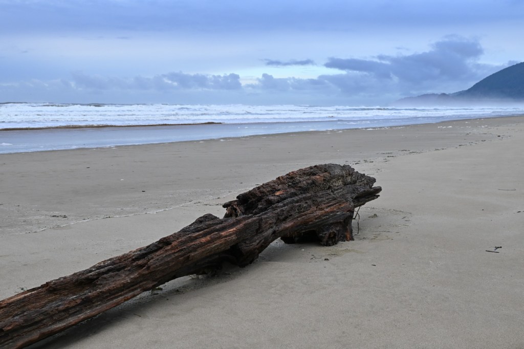 A seascape featuring a drifted log in the foreground, the beach in the midground, and the surf zone beyond. Cloudy sky.