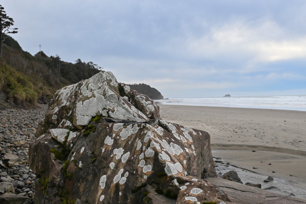 A beachscape featuring a large lichen-splotched rock resting at the interface of the sand and cobbles.