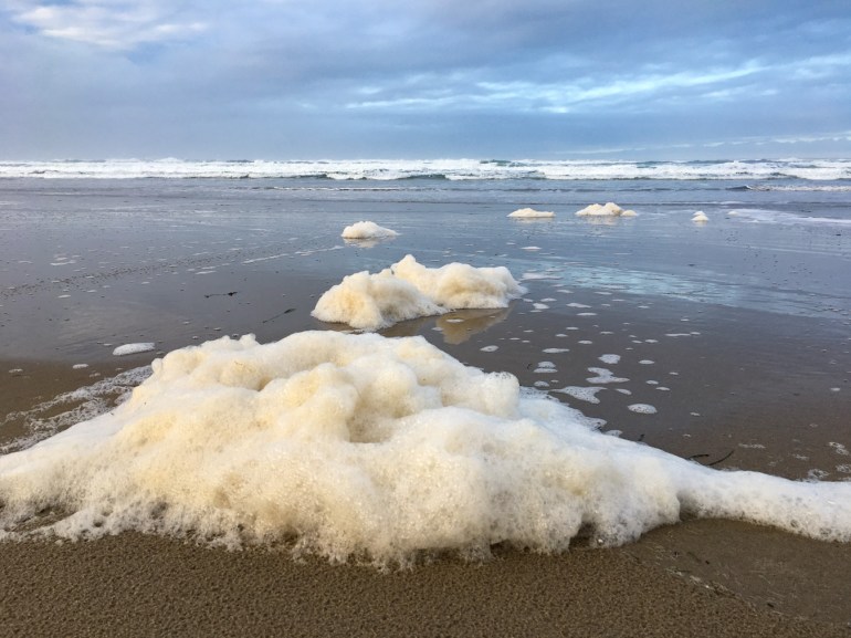 A beachscape featuring rafts of sea foam. Surf zone in the distance. Cloudy sky.