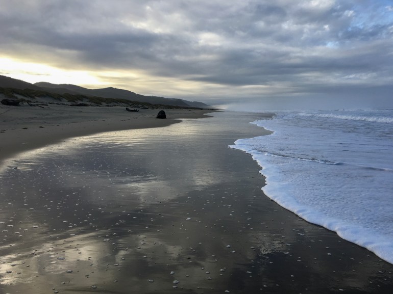A beachscape featuring the surf zone, the swash, a wide morning mirror, the beach, and foredune. Mostly cloudy sunrise sky.