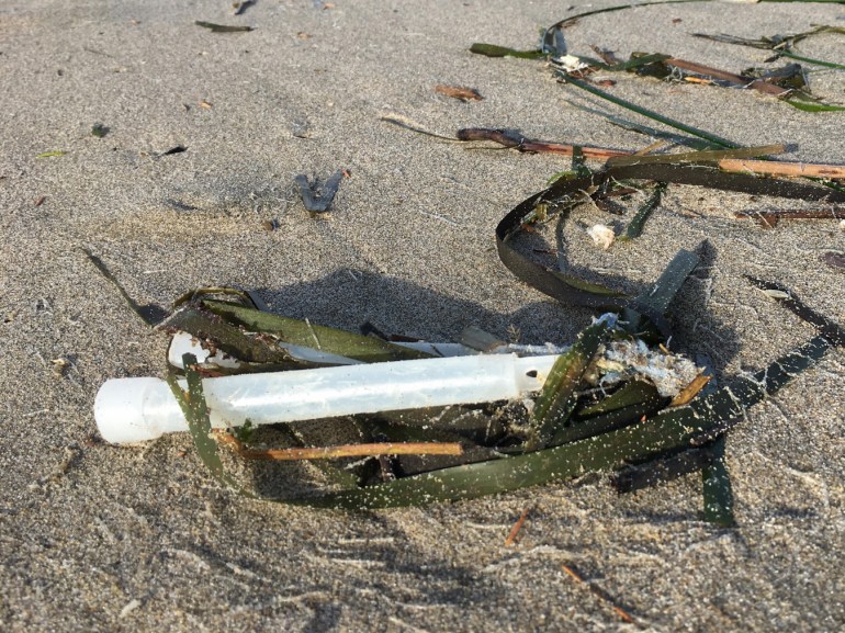 Lost chemical glow sticks, fishing gear, rest on the sand among sea wrack.