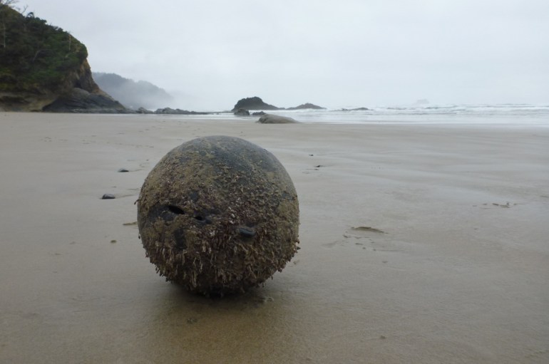 A lost and drifted commercial float encrusted with pelagic goose barnacles rests on the sand. Moody sky.