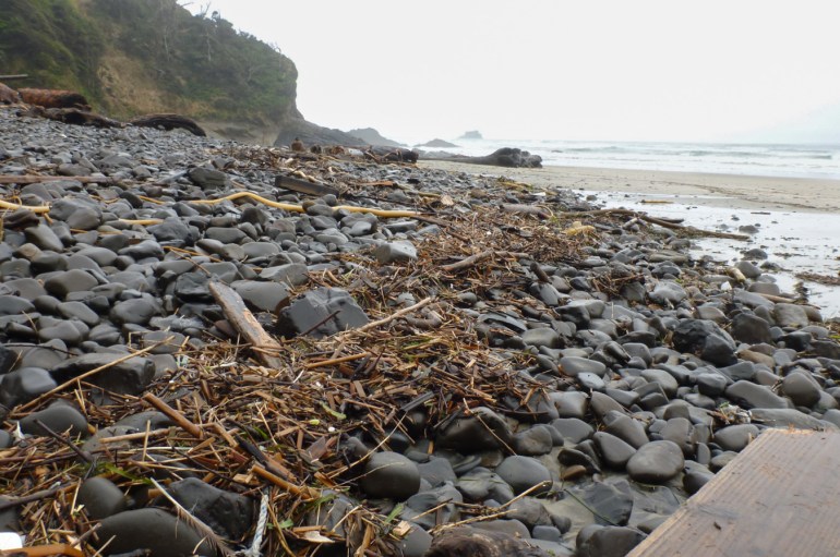 A wrack Line of sticks and terrestrial debris in the cobbles.A wrack Line of sticks and terrestrial debris in the cobbles.