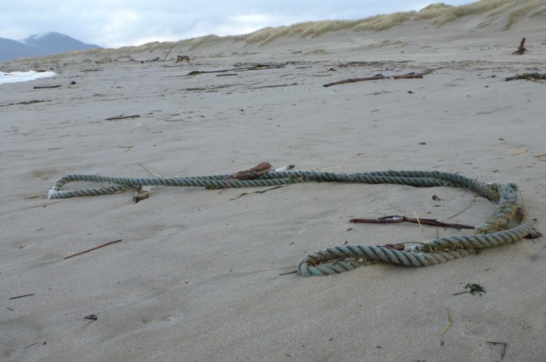 Lost and drifted commercial line rests on the sand.