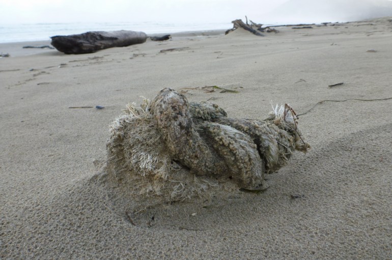 A lost and drifted knot, and fairly weathered, knot from some large-diameter line rests on the sand.