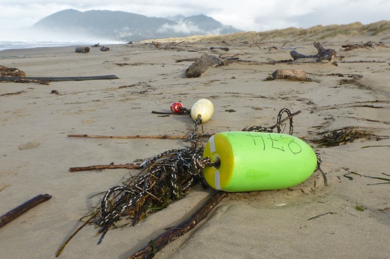 Lost main and trailer buoys from the commercial Dungeness crab fishery.